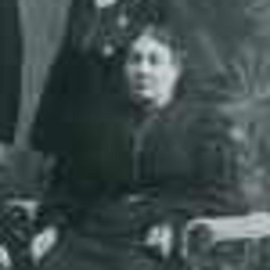Harriet Vilate Pitkin (1848 - 1914) Profile